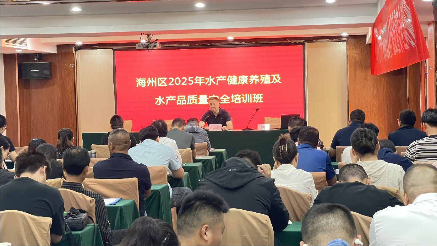 1751003026839689.jpg 1-01.jpg